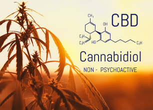 cannabidiol plant - CBD Regulations 