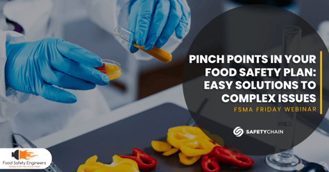 Pinch Points in Your Food Safety Plan Easy Solutions to Complex Issues