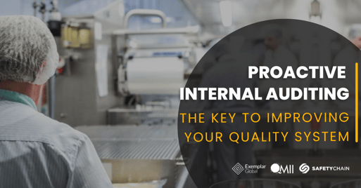 Proactive Internal Auditing The Key to Improving Your Quality System