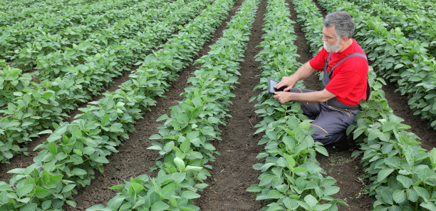 environment food safety